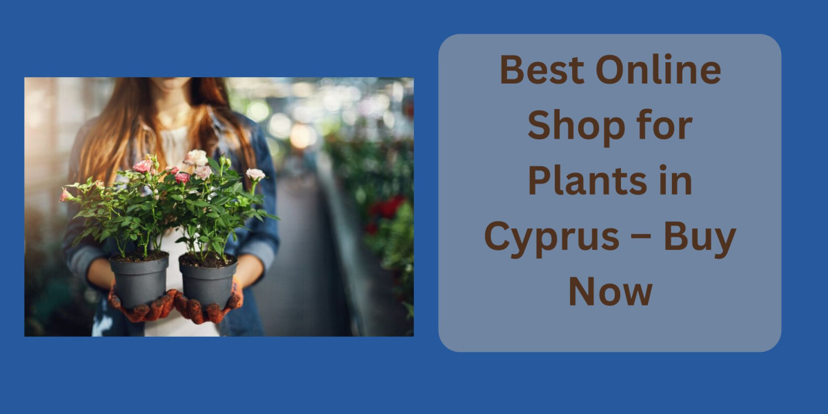 Best Online Shop for Plants in Cyprus – Buy Now