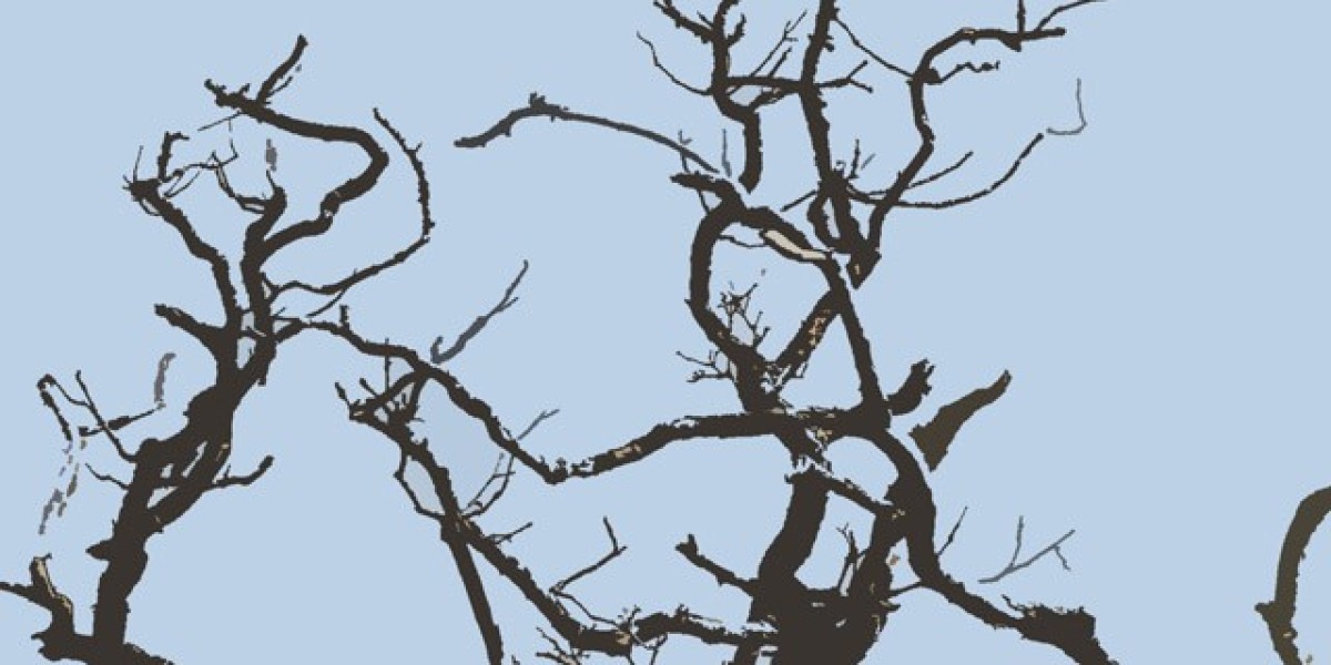 Article Picture