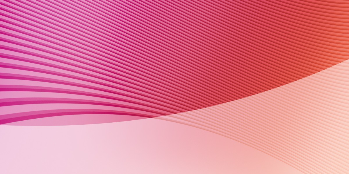 The Rise of Private Plane Flights: A Case Study on Luxury Journey And Its Implications