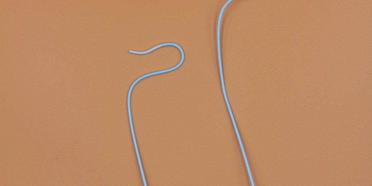 Diagnostic Catheters Market | Industry Report 2034